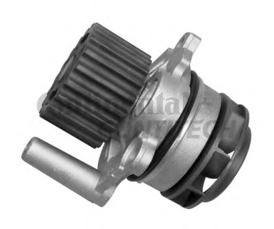 WP6006 CONTITECH