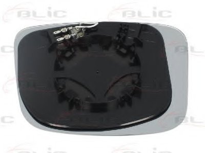 6102021232351P BLIC