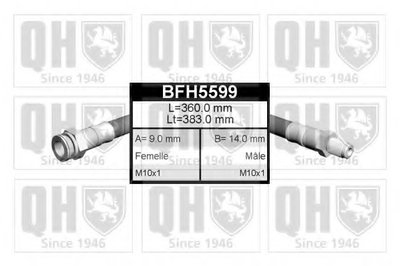 BFH5599 QUINTON HAZELL