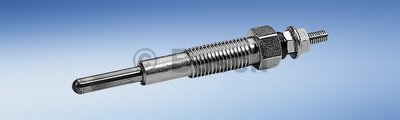 0250202089 BOSCH