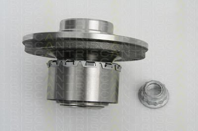 853029011 Triscan