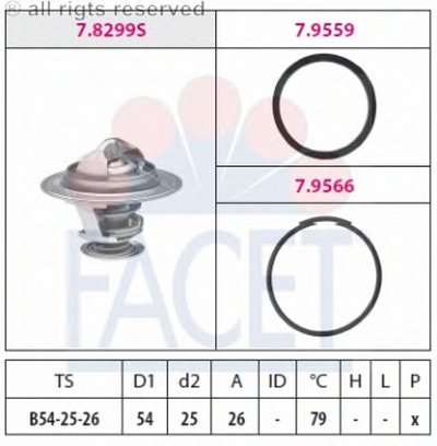 78299 FACET