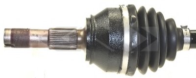 25620 SPIDAN