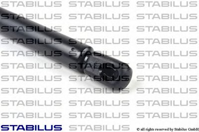 018094 STABILUS