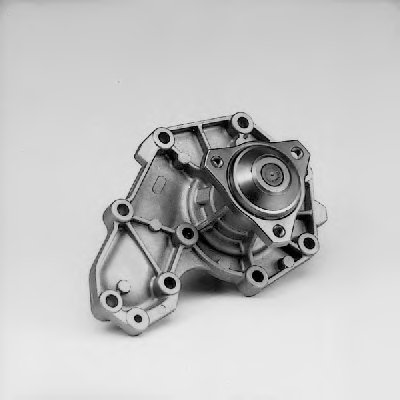 P054 HEPU