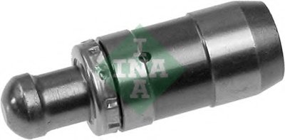 420002710 INA