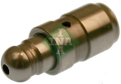 420022610 INA