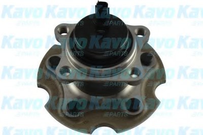 WBH9056 KAVO PARTS