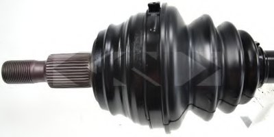 25005 SPIDAN