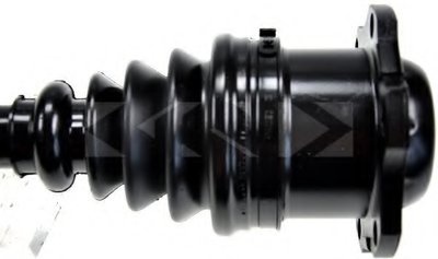 25005 SPIDAN