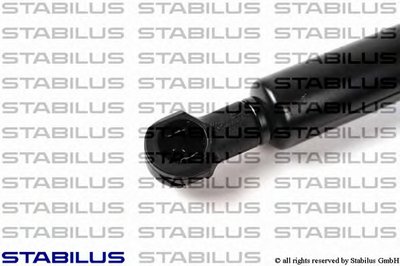 007998 STABILUS