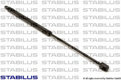 291919 STABILUS