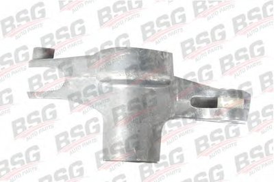 BSG60615006 BSG