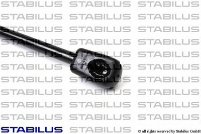 030656 STABILUS