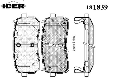 181839 ICER