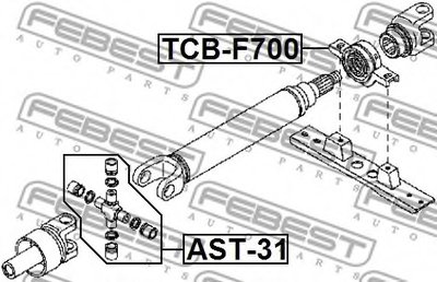 AST31 FEBEST