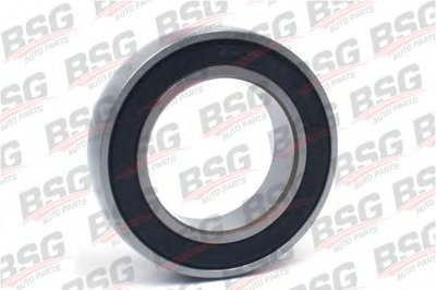 BSG30635001 BSG