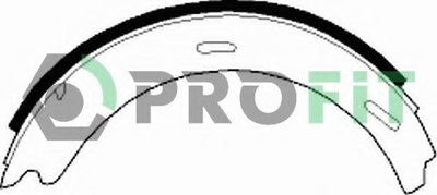 50010196 PROFIT