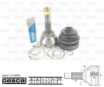 G11003PC PASCAL