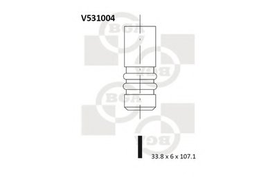 V531004 BGA