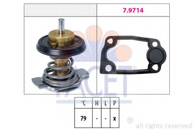 78942 FACET
