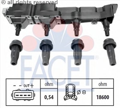 96307 FACET