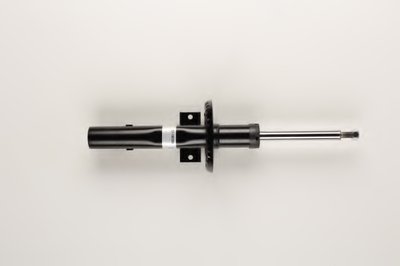 22196309 BILSTEIN
