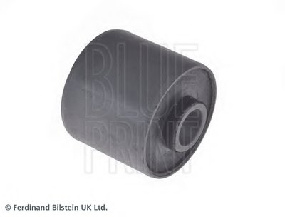 ADJ138007 BLUE PRINT