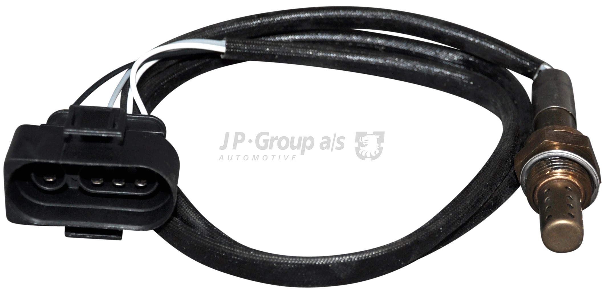 1193801000 JP GROUP