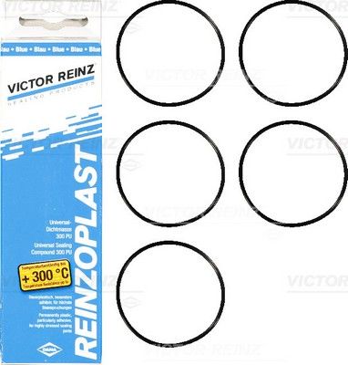 157674102 VICTOR REINZ