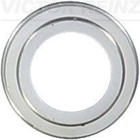 702306200 VICTOR REINZ