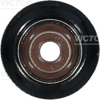 703686600 VICTOR REINZ
