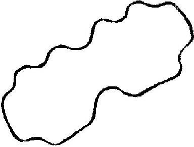 Прокладка клапанної кришки