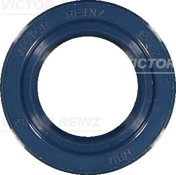 811529310 VICTOR REINZ