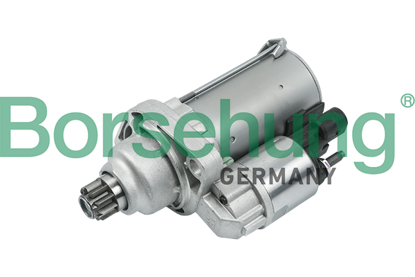 B18163 BORSEHUNG