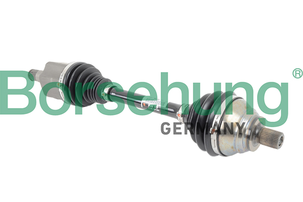 B18349 BORSEHUNG