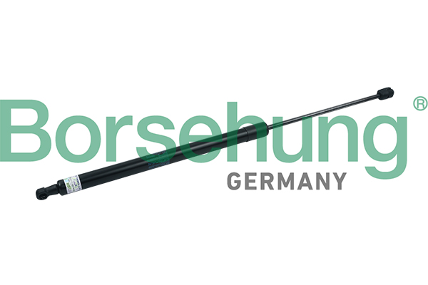 B18458 BORSEHUNG