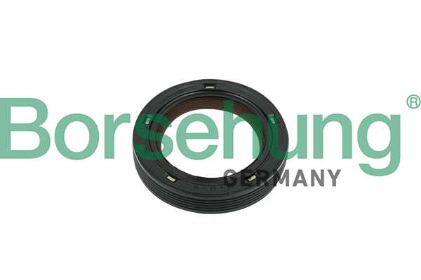 B18729 BORSEHUNG