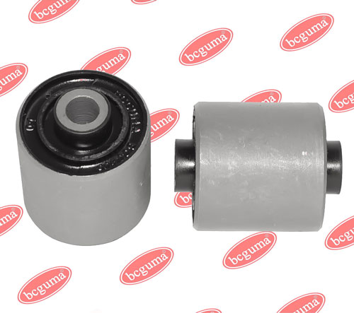 BC0405 BCGUMA
