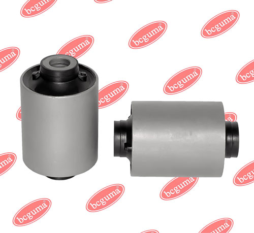 BC1603 BCGUMA