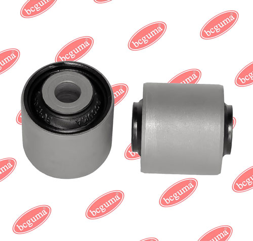 BC1701 BCGUMA
