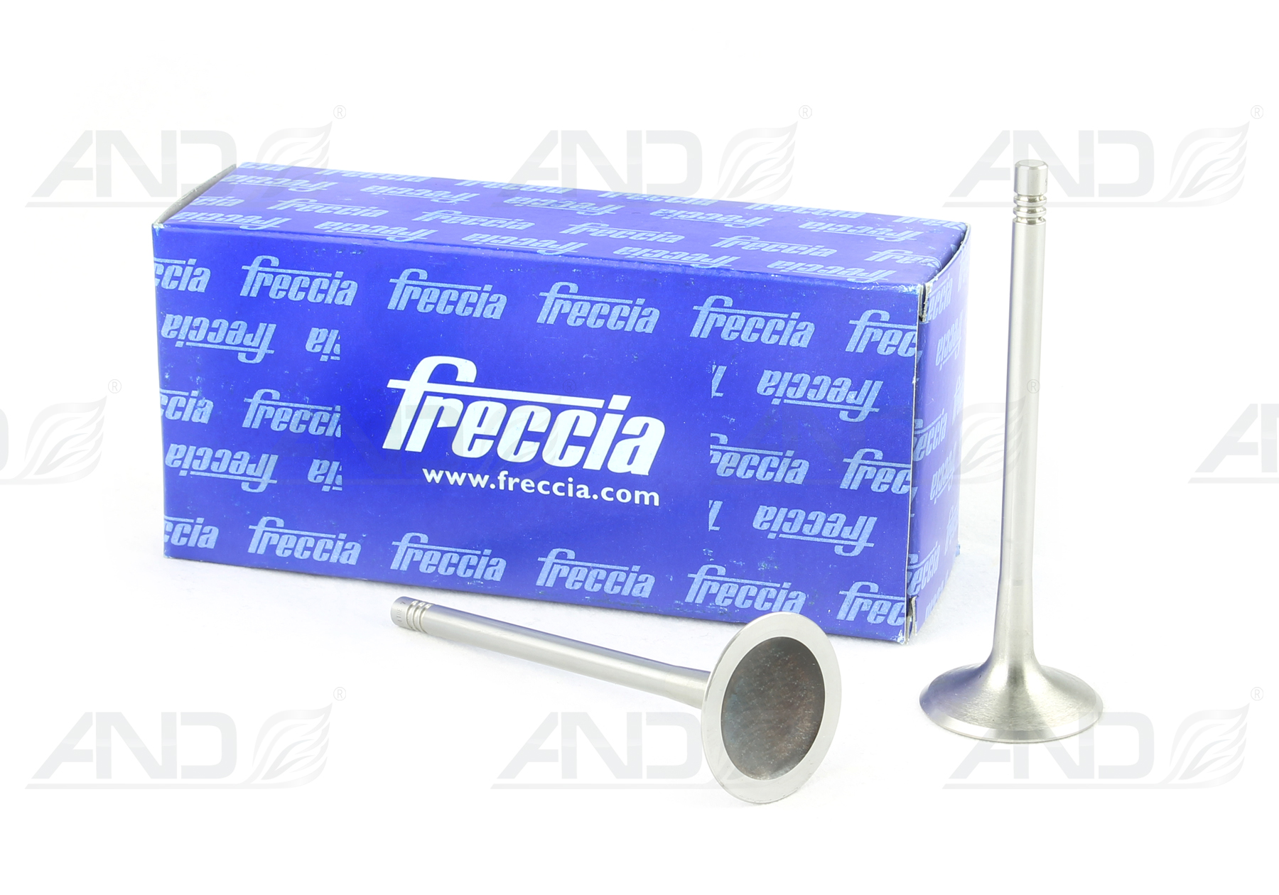 R6206S FRECCIA