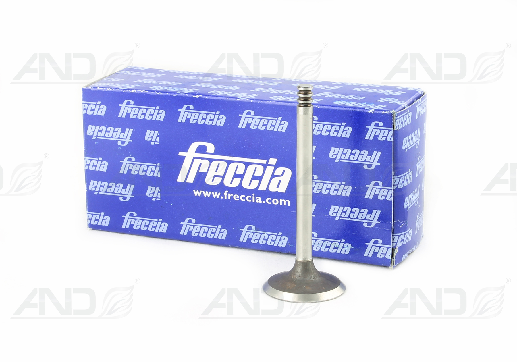 R6208S FRECCIA