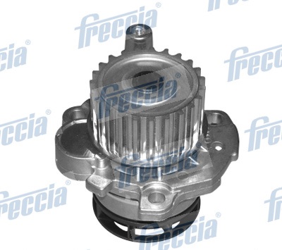 WP0145 FRECCIA