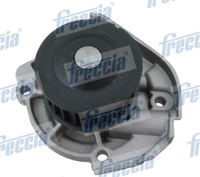 WP0173 FRECCIA