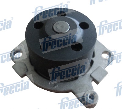 WP0188 FRECCIA