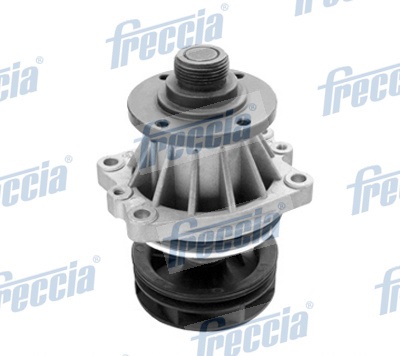 WP0197 FRECCIA