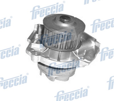 WP0212 FRECCIA