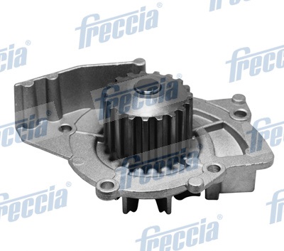 WP0251 FRECCIA