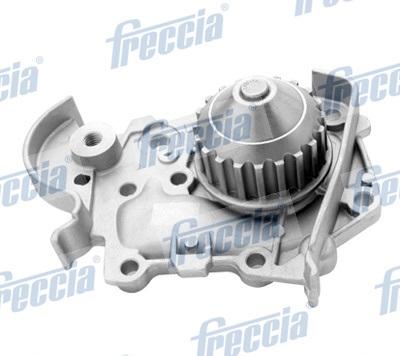 WP0254 FRECCIA